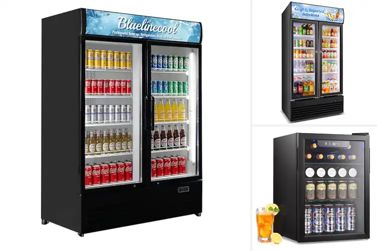 Detailed view of Best Adjustable Cooling Fridges: Top 10 Picks for You