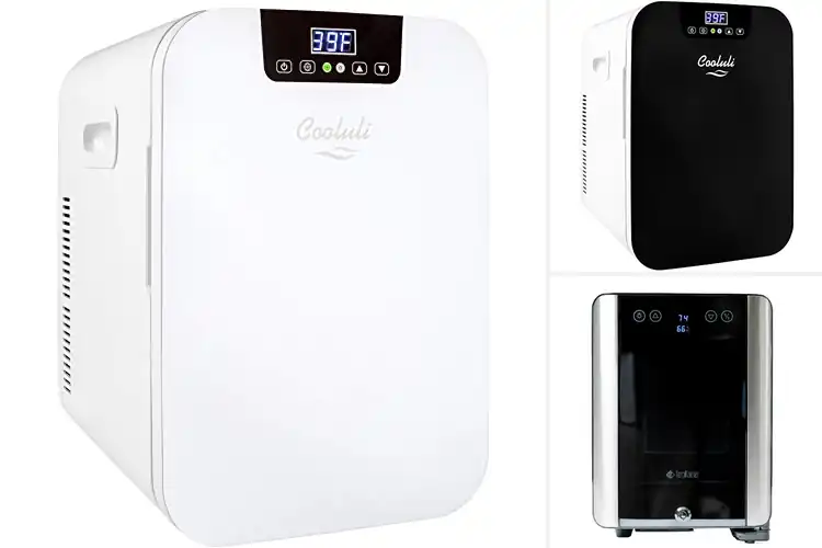Detailed view of Best Adjustable Temperature Mini Fridge
