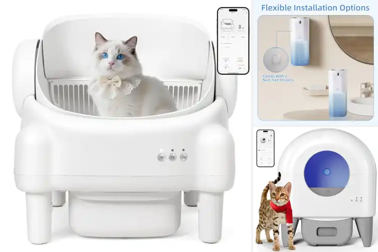 Detailed view of Best Automatic Self Cleaning Function