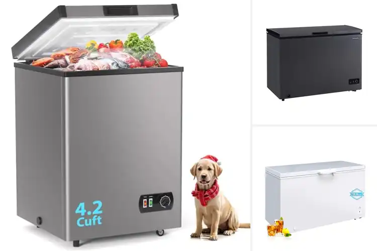 Detailed view of Best Basket-Equipped Freezers: Top 10 Picks for Easy Storage