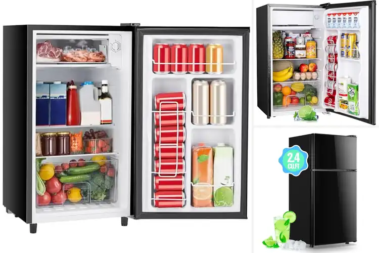 Detailed view of Best Bedroom Refrigerators