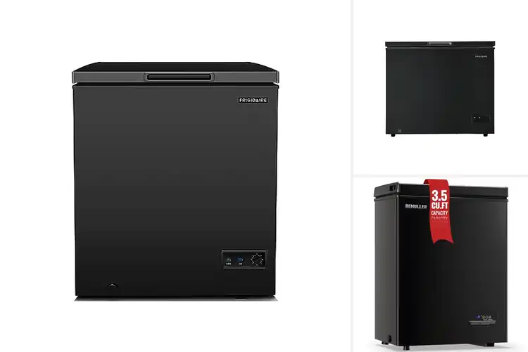 Detailed view of Best Black Freezers