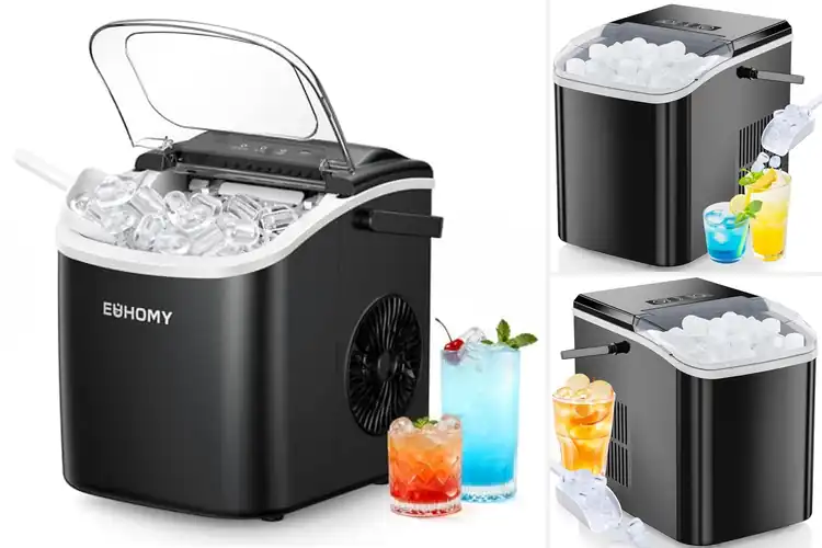Detailed view of Best Budget Ice Makers