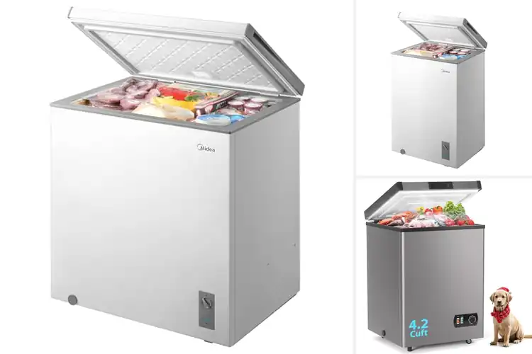 Detailed view of Best Chest Freezers