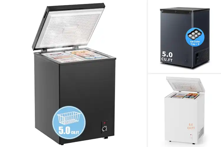 Detailed view of Best Compact Freezers 5 Cu Ft