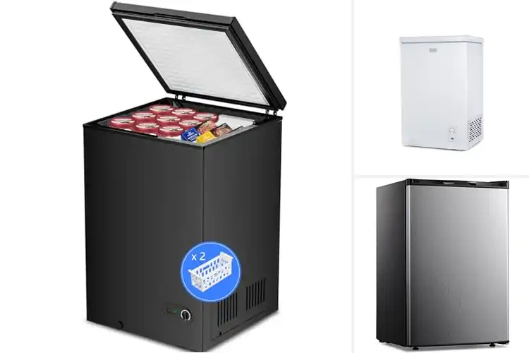 Detailed view of Best Compact Freezers