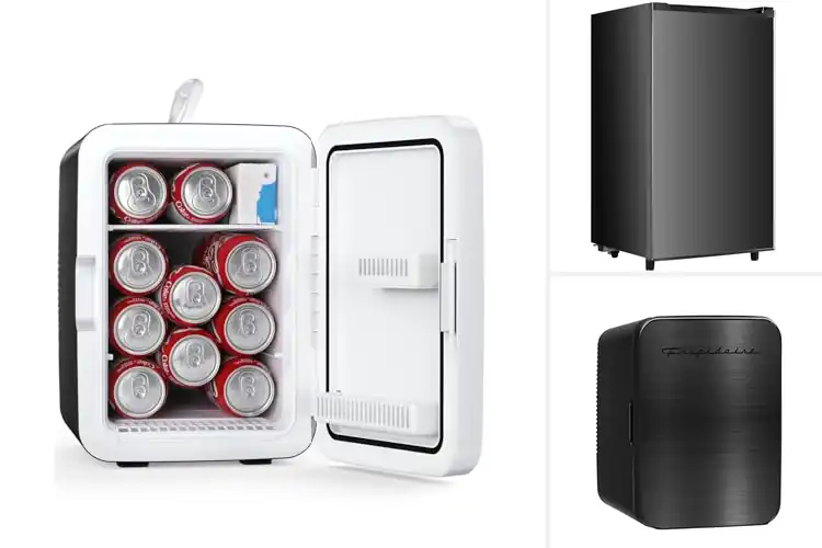 Detailed view of Best Compact Fridge For Small Spaces