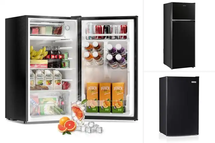 Detailed view of Best Compact Fridge With Freezer Capacity