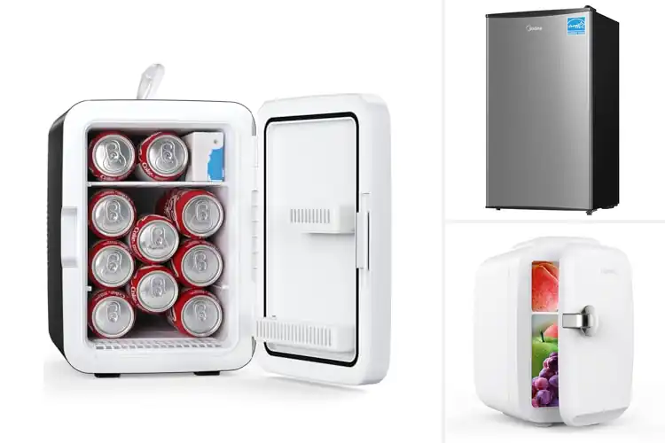 Detailed view of Best Compact Fridges