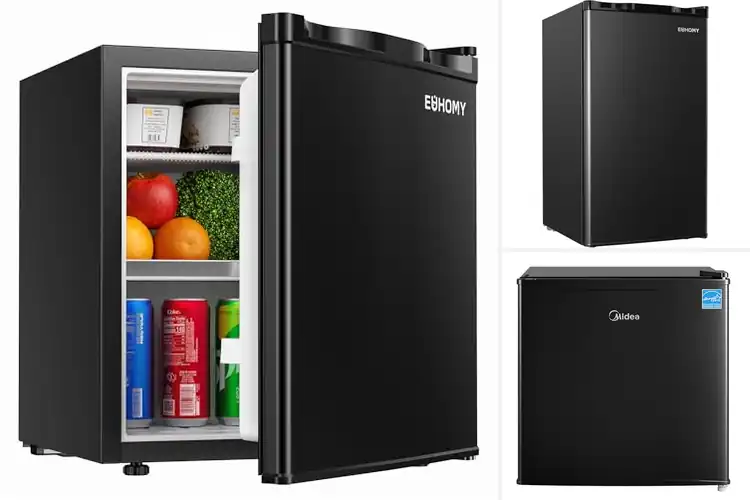Detailed view of Best Compact Refrigerator With Adjustable Thermostat