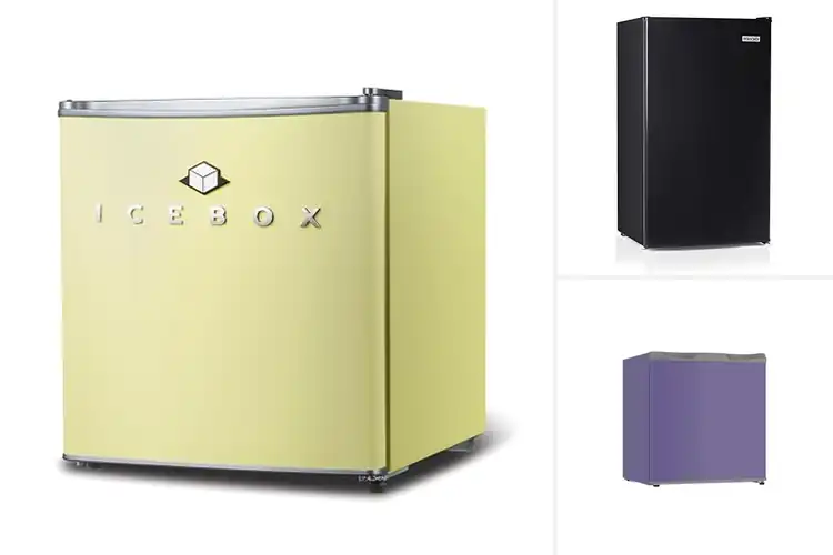 Detailed view of Best Compact Refrigerators For Offices