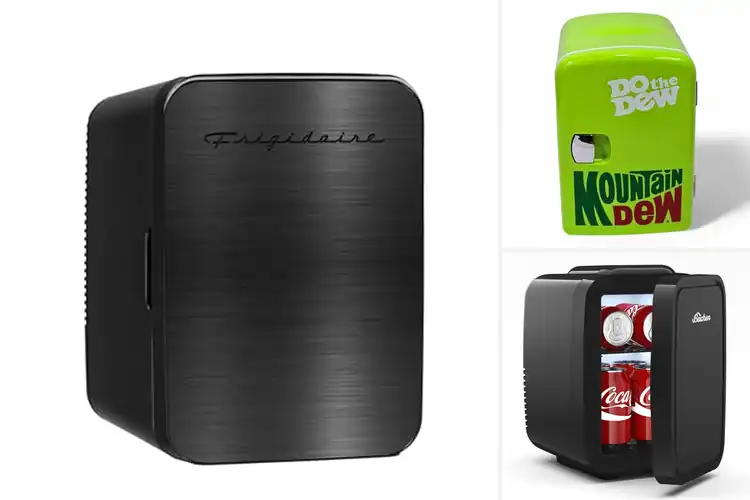 Detailed view of Best Cooling Performance Mini Fridge