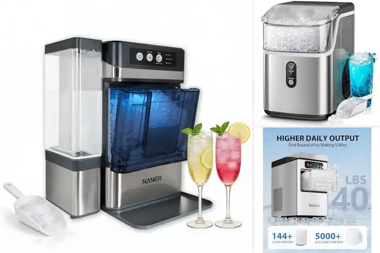Detailed view of Best Daily Ice-Capacity Ice Makers For Busy Kitchens
