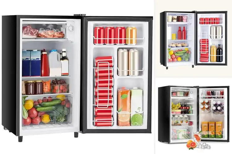 Detailed view of Best Dorm Room Fridge