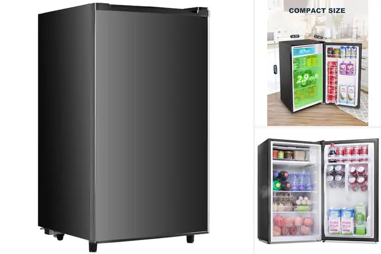 Detailed view of Best Energy Efficient Mini Fridges