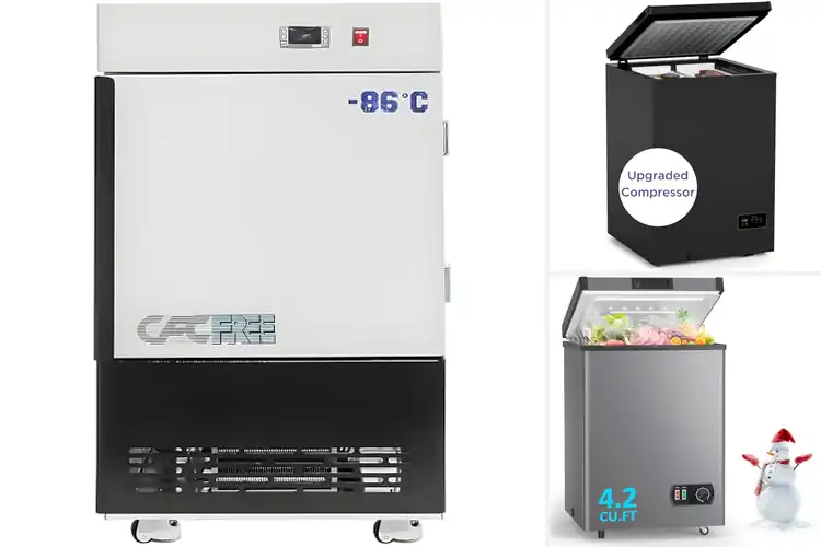 Detailed view of Best Energy Saving Freezers for Smart Home Savings