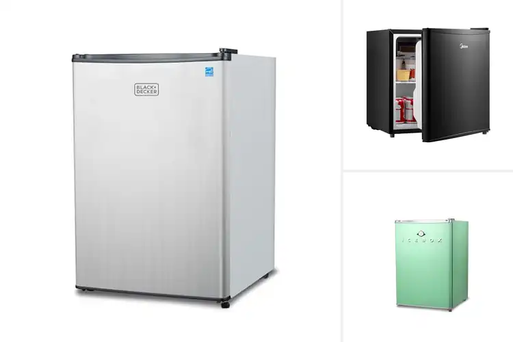 Detailed view of Best Energy Star Compact Fridges