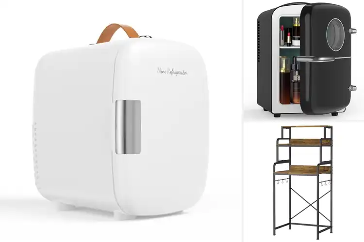 Detailed view of Best Flexible Storage Mini Fridges