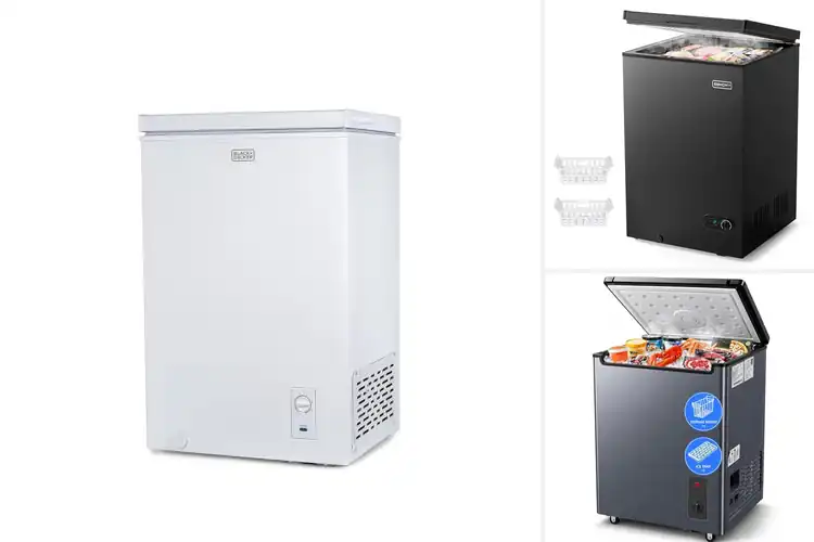 Detailed view of Best Freezers For Apartments: Compact, Cool, & Cheap