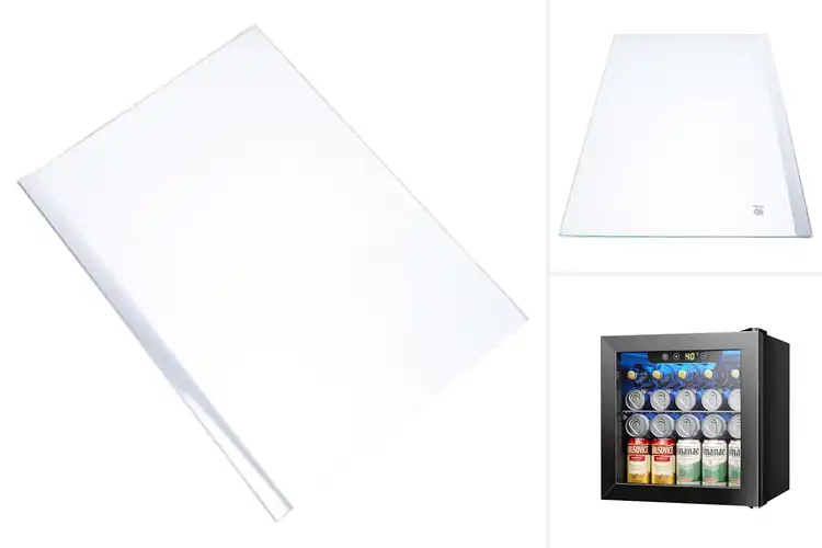 Detailed view of Best Glass Shelf Mini Fridges for Style & Convenience
