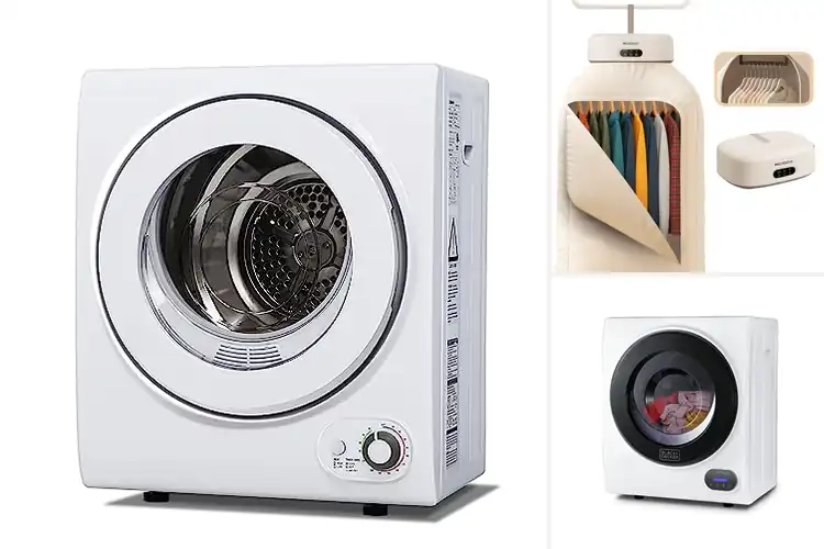 Detailed view of Best Mini Dryers