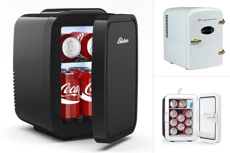 Detailed view of Best Mini Fridge Cooling Performance