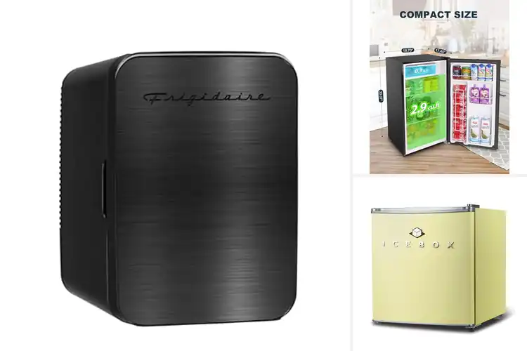Detailed view of Best Mini Fridges For Offices