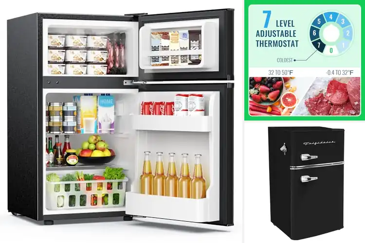 Detailed view of Best Mini Fridges With Freezers