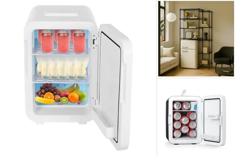 Detailed view of Best Multi-Functional Mini Fridges
