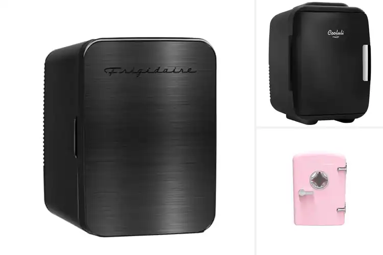 Detailed view of Best Personal Fridges