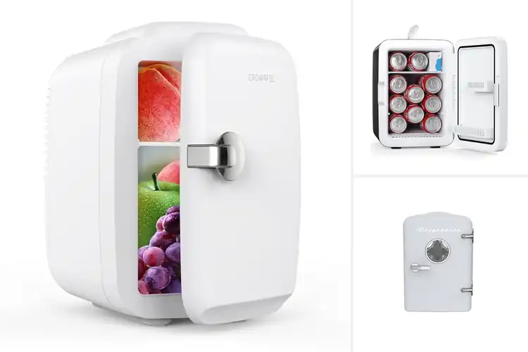 Detailed view of Best Portable Mini Fridges