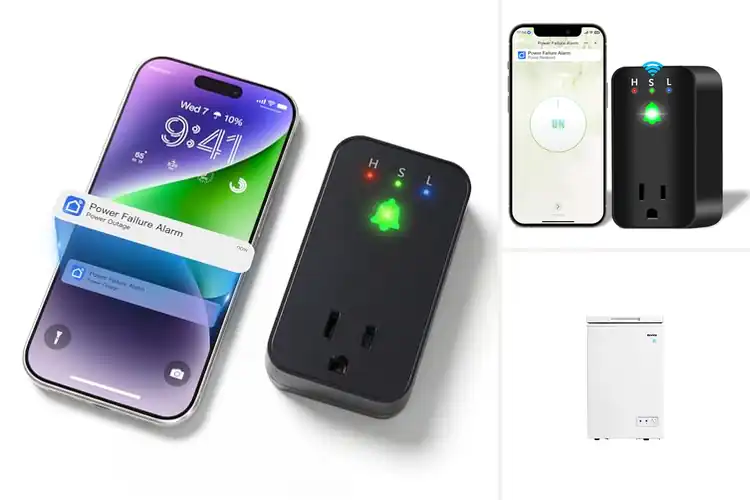 Detailed view of Best Power Outage Freezers