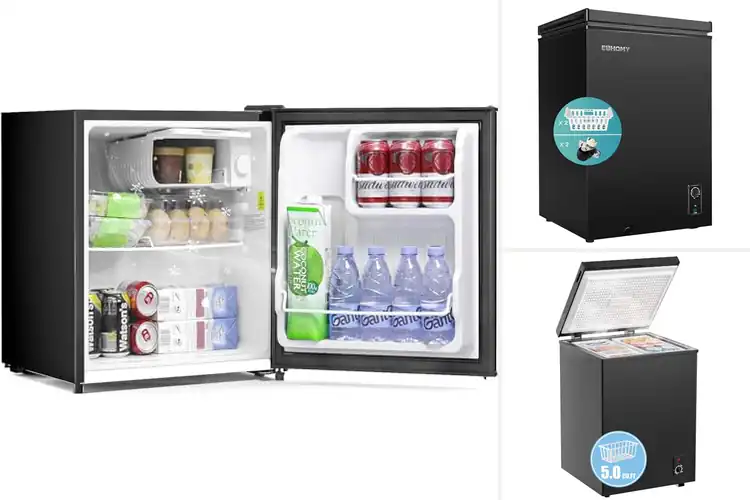 Detailed view of Best Quiet Freezers