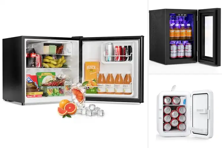 Detailed view of Best Quiet Fridges: Enjoy Peaceful Cooling Solutions