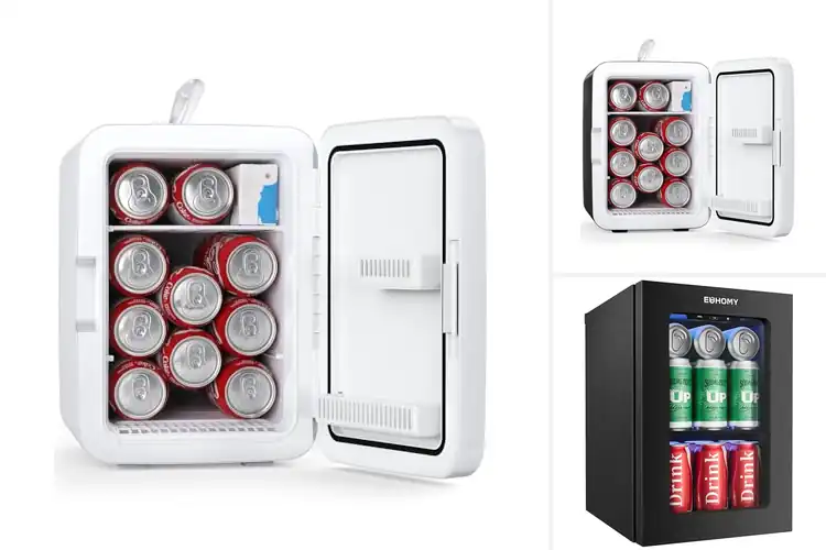 Detailed view of Best Quiet Mini Fridge With 38 Db