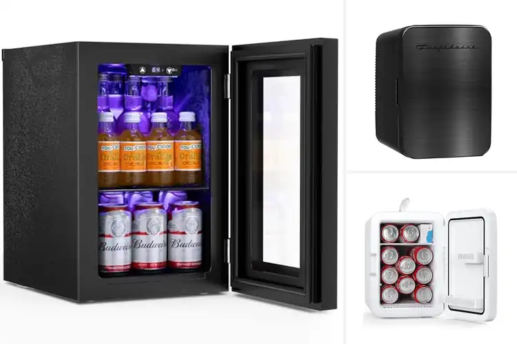 Detailed view of Best Quiet Mini Fridges