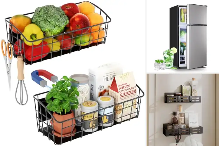 Detailed view of Best Removable Shelves Fridges