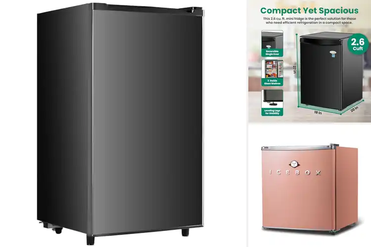 Detailed view of Best Single Door Mini Fridge Space Saving Design