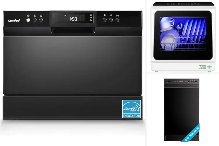 Detailed view of Best Small Apartment Dishwashers