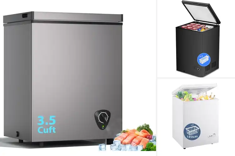 Detailed view of Best Small Deep Freezers: Top Space-Saving Options for You