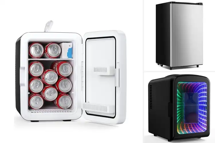 Detailed view of Best Small Footprint Fridges