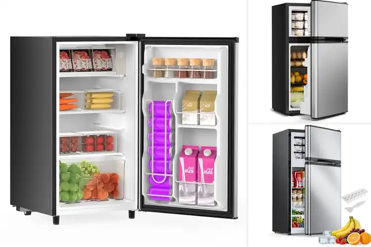 Detailed view of Best Small Freezer Refrigerators