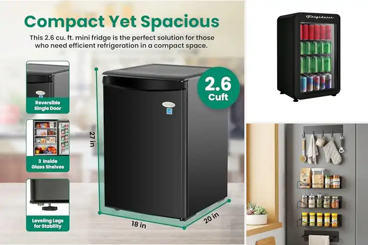 Detailed view of Best Space-Saving Fridges
