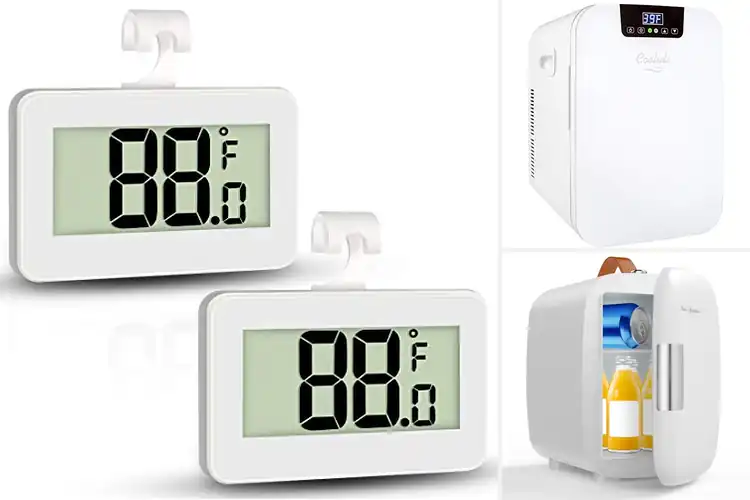 Detailed view of Best Temperature Range Mini Fridge For Perishables