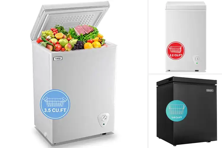Detailed view of Best Top Door Freezers: 10 Picks for Easy Food Storage